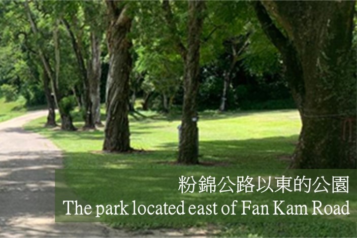 粉錦公路以東的公園